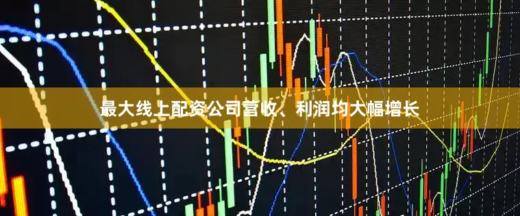 最大线上配资公司营收、利润均大幅增长