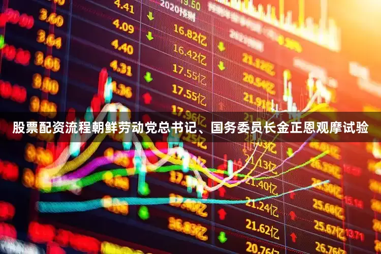 股票配资流程朝鲜劳动党总书记、国务委员长金正恩观摩试验