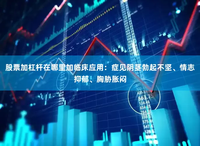 股票加杠杆在哪里加临床应用：症见阴茎勃起不坚、情志抑郁、胸胁胀闷