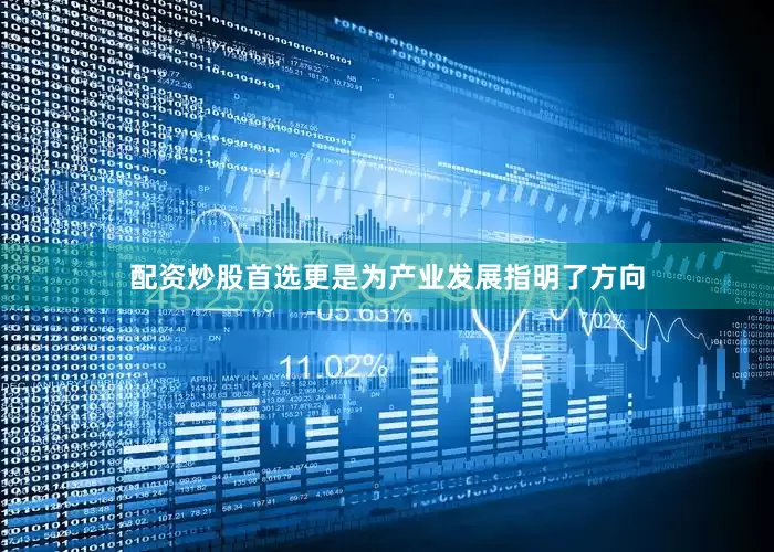 配资炒股首选更是为产业发展指明了方向