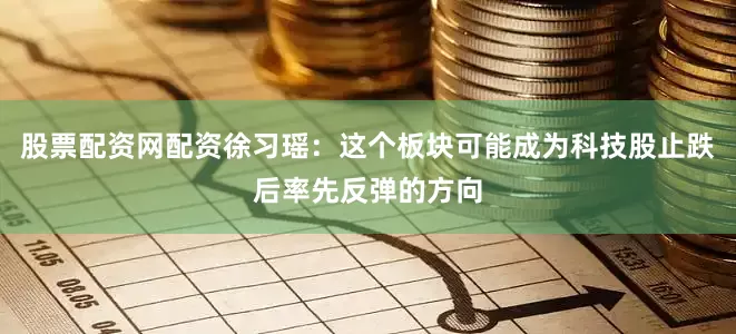 股票配资网配资徐习瑶:这个板块可能成为科技股止跌后率先反弹的方向
